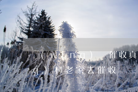 網(wǎng)貸催收真的會去農(nóng)村老家去催收嗎，網(wǎng)絡(luò)貸款催收：是否會到你的農(nóng)村老家進(jìn)行催收？